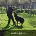 jethro & sasha 1-05-2008