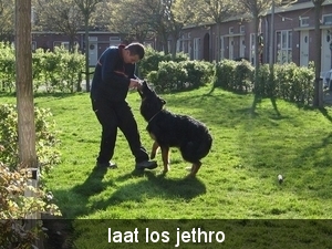 jethro & sasha 1-05-2008