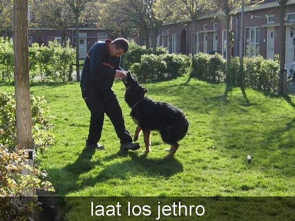 jethro & sasha 1-05-2008