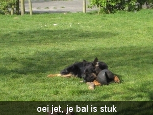 jethro 1-05-2008