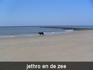 jethro 10-04-2008