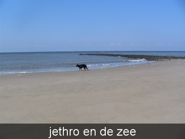 jethro 10-04-2008