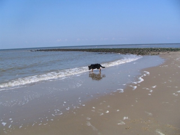 jethro 10-04-2008