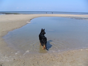 jethro 10-04-2008