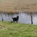 jethro 12-04-2008