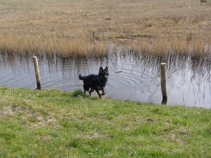 jethro 12-04-2008