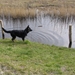 jethro 12-04-2008 (17) [640x480]