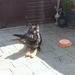 jethro 12-04-2008 (2) [640x480]