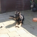 jethro 12-04-2008 (3) [640x480]