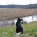 jethro 12-04-2008