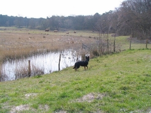 jethro 12-04-2008