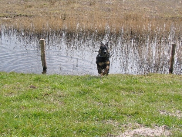 jethro 12-04-2008