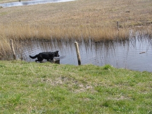 jethro 12-04-2008