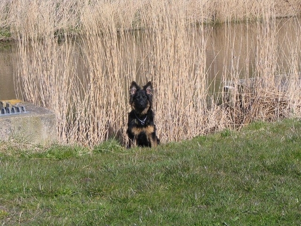 jethro 13-04-2008