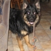 jethro 14-05-2008