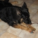 jethro 14-05-2008