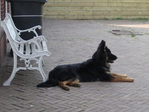 jethro 16-05-2008