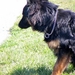 jethro 17-04-2008