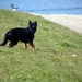 jethro 17-04-2008