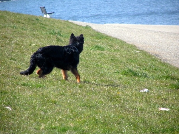 jethro 17-04-2008