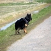 jethro 17-04-2008