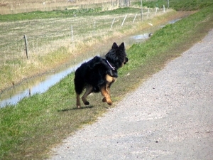 jethro 17-04-2008