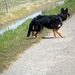 jethro 17-04-2008