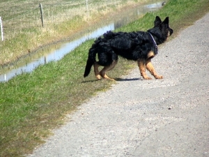 jethro 17-04-2008