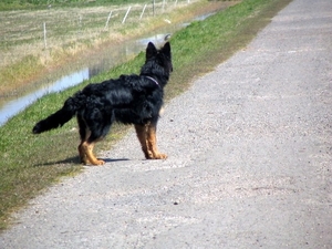 jethro 17-04-2008