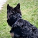 jethro 17-04-2008