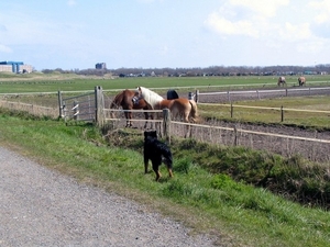 jethro 17-04-2008