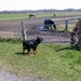 jethro 17-04-2008