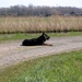 jethro 17-04-2008