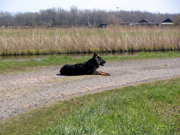 jethro 17-04-2008