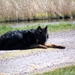 jethro 17-04-2008