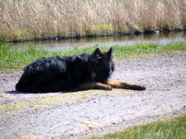 jethro 17-04-2008