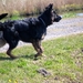 jethro 17-04-2008