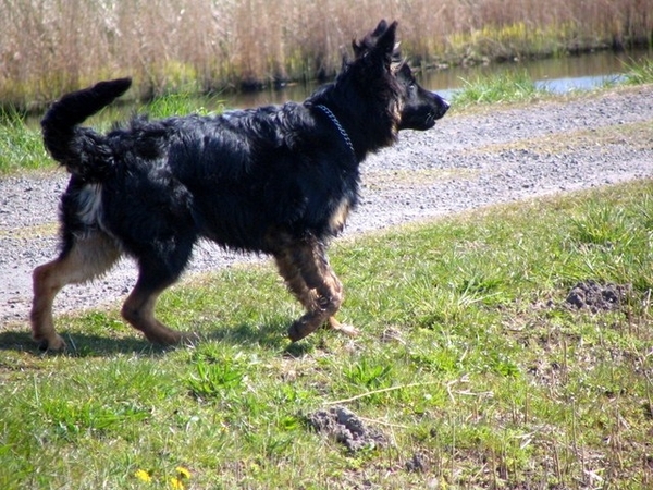 jethro 17-04-2008