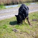 jethro 17-04-2008