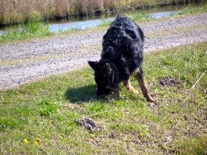 jethro 17-04-2008