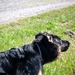 jethro 17-04-2008