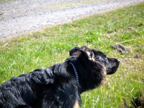 jethro 17-04-2008