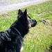 jethro 17-04-2008