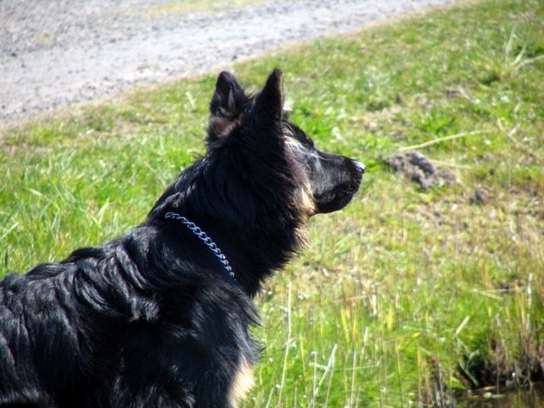 jethro 17-04-2008