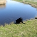 jethro 17-04-2008