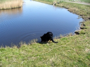 jethro 17-04-2008