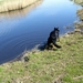 jethro 17-04-2008