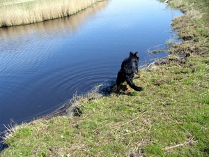 jethro 17-04-2008