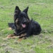 jethro 19-05-2008