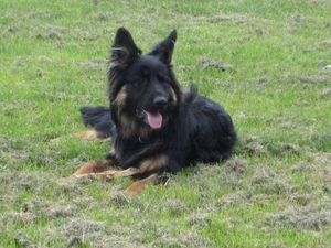 jethro 19-05-2008